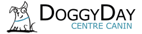 DoggyDay Centre Canin -