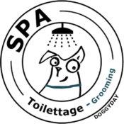 spa pour chiens à montréal