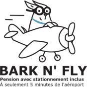 Bark n’ Fly